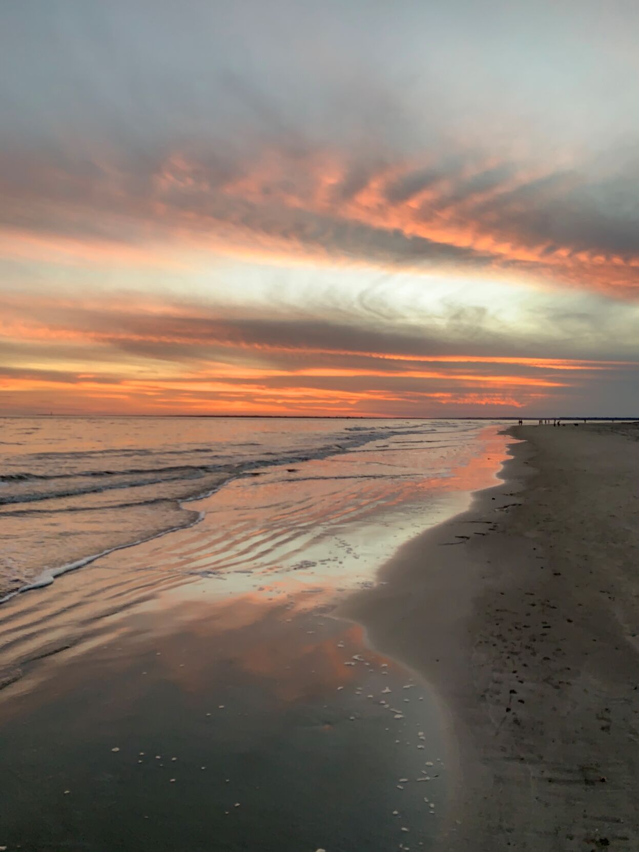 Sullivan's Island on the beach